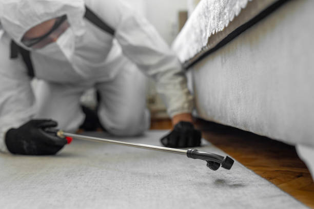 Professional Termite Control technician working in Broomall, PA