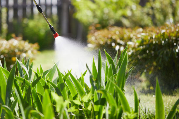 24/7 Emergency Termite Control experts in Broomall, PA